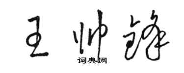 駱恆光王帥鋒草書個性簽名怎么寫