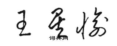 駱恆光王星愉草書個性簽名怎么寫