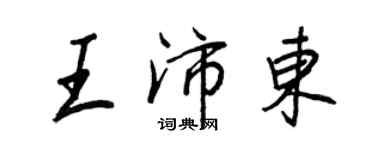 王正良王沛東行書個性簽名怎么寫