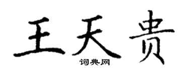 丁謙王天貴楷書個性簽名怎么寫