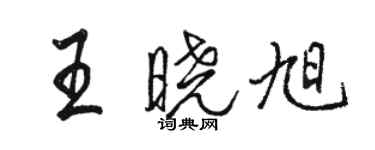 駱恆光王曉旭行書個性簽名怎么寫