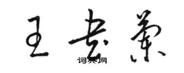駱恆光王書蘭草書個性簽名怎么寫