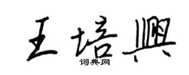 王正良王培興行書個性簽名怎么寫