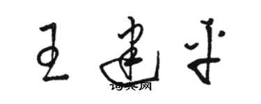 駱恆光王建平草書個性簽名怎么寫