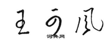 駱恆光王可風草書個性簽名怎么寫