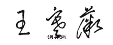 駱恆光王寒薇草書個性簽名怎么寫