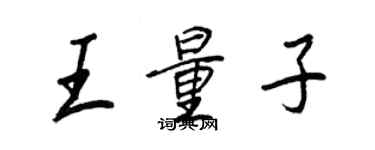 王正良王量子行書個性簽名怎么寫