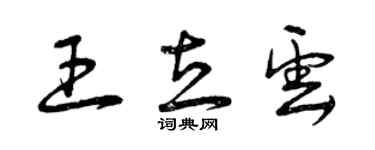 曾慶福王立雲草書個性簽名怎么寫