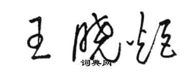 駱恆光王曉炬草書個性簽名怎么寫