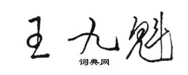 駱恆光王九魁草書個性簽名怎么寫