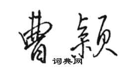 駱恆光曹穎行書個性簽名怎么寫
