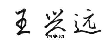 駱恆光王興遠行書個性簽名怎么寫