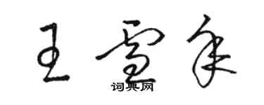 駱恆光王雪年草書個性簽名怎么寫