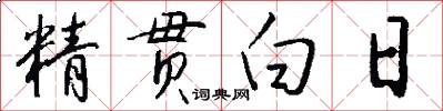 精貫白日怎么寫好看