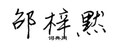 王正良邵梓默行書個性簽名怎么寫