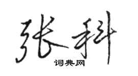 駱恆光張科行書個性簽名怎么寫