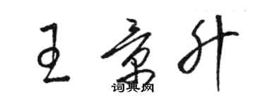 駱恆光王景升草書個性簽名怎么寫