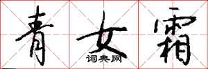 錢沛雲青女霜行書怎么寫