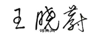 駱恆光王曉蔚草書個性簽名怎么寫