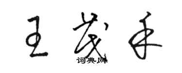 駱恆光王茂禾草書個性簽名怎么寫