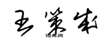 朱錫榮王策成草書個性簽名怎么寫