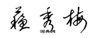 梁錦英蘇秀梅草書個性簽名怎么寫