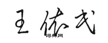 駱恆光王依民草書個性簽名怎么寫