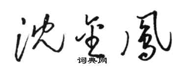 駱恆光沈金鳳草書個性簽名怎么寫