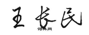 駱恆光王長民行書個性簽名怎么寫