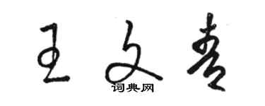 駱恆光王文青草書個性簽名怎么寫