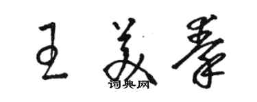 駱恆光王美秦草書個性簽名怎么寫