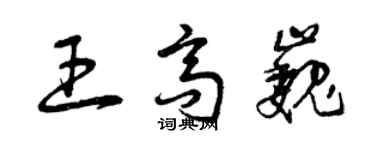 曾慶福王高巍草書個性簽名怎么寫