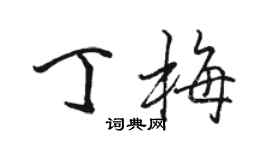 駱恆光丁梅行書個性簽名怎么寫