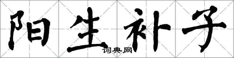 翁闓運陽生補子楷書怎么寫