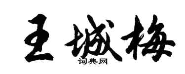 胡問遂王城梅行書個性簽名怎么寫