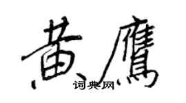 王正良黃鷹行書個性簽名怎么寫