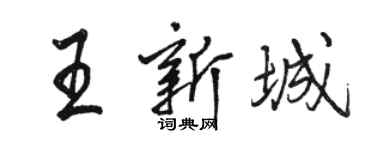 駱恆光王新城行書個性簽名怎么寫