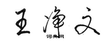 駱恆光王淨文行書個性簽名怎么寫