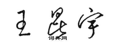 駱恆光王昆宇草書個性簽名怎么寫