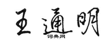 駱恆光王通明行書個性簽名怎么寫