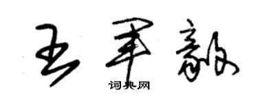 朱錫榮王軍毅草書個性簽名怎么寫