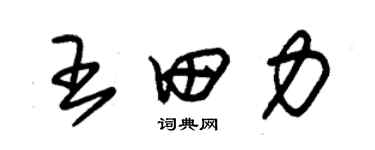 朱錫榮王田力草書個性簽名怎么寫