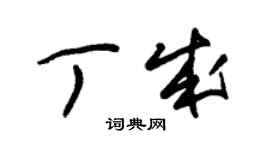 朱錫榮丁成草書個性簽名怎么寫