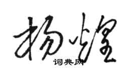 駱恆光楊煌草書個性簽名怎么寫