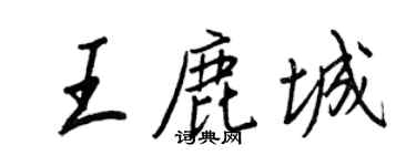 王正良王鹿城行書個性簽名怎么寫