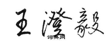 駱恆光王澄毅行書個性簽名怎么寫