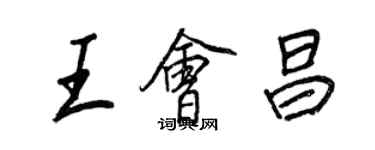 王正良王會昌行書個性簽名怎么寫