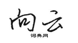 駱恆光向雲行書個性簽名怎么寫