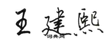 駱恆光王建熙行書個性簽名怎么寫