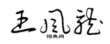 曾慶福王風龍草書個性簽名怎么寫